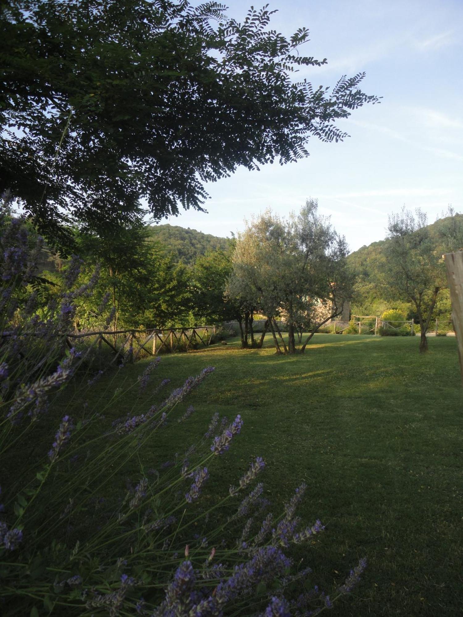 Il Capriolo Villa San Cerbone Eksteriør billede
