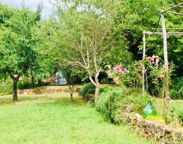 Il Capriolo Villa San Cerbone Eksteriør billede